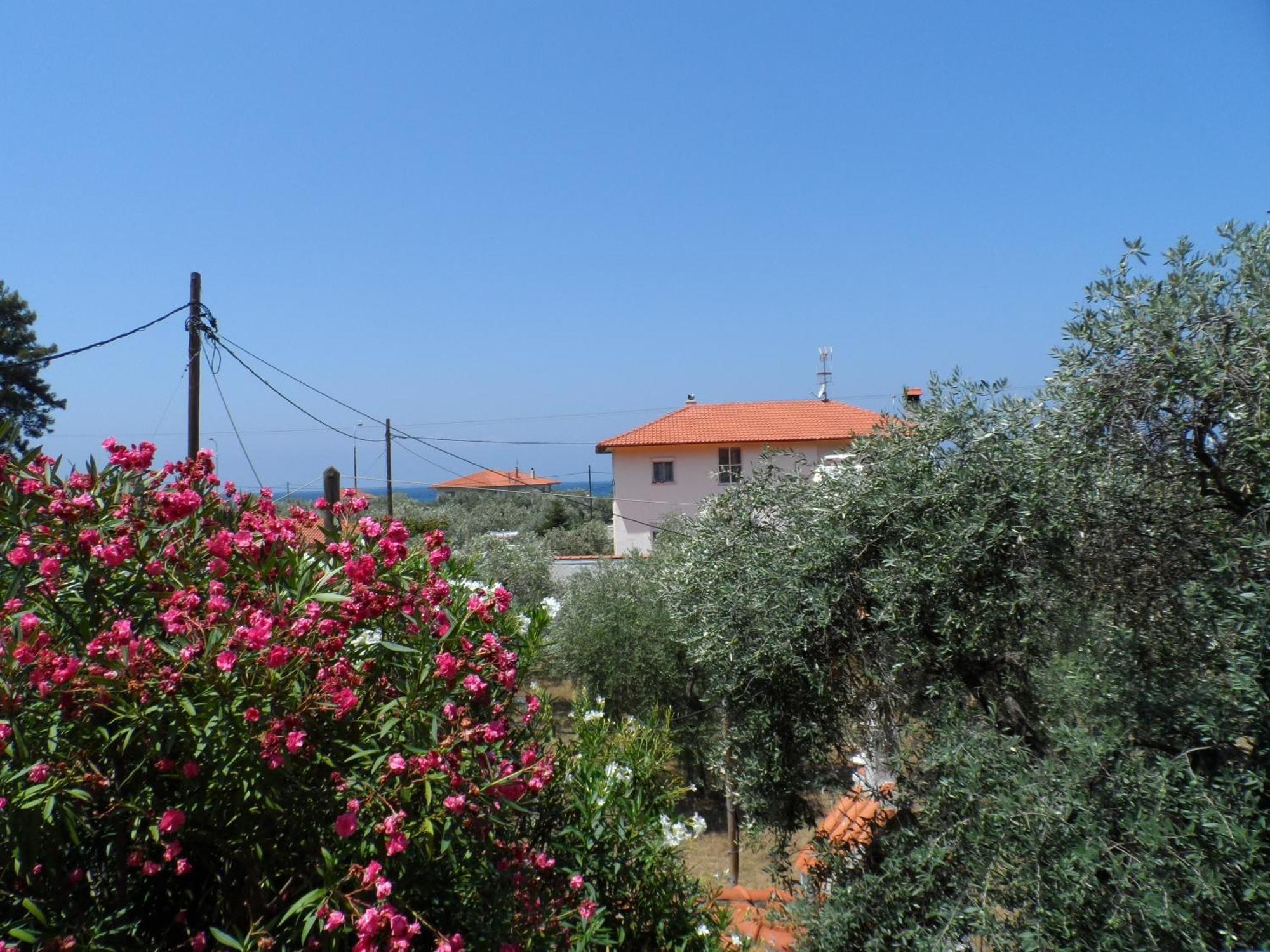 Amarilia Aparthotel Skala Rachoni  Bagian luar foto