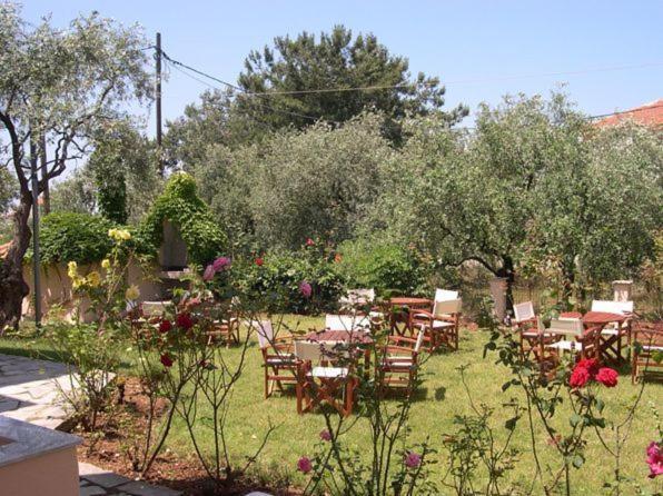 Amarilia Aparthotel Skala Rachoni  Bagian luar foto